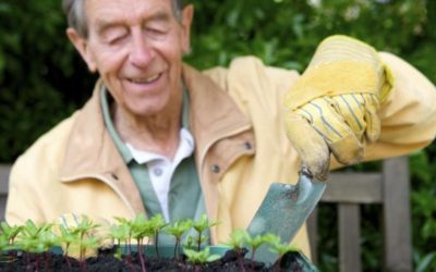 Beneficis de cuidar un hort per la gent gran