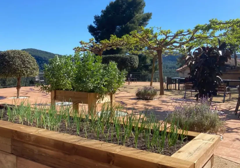 Huerto terapéutico con jardineras de madera en el jardín de la residencia de ancianos Sol i Natura
