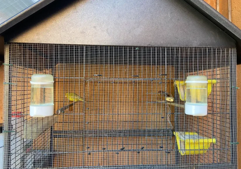 Pajarera con aves en el jardín de la residencia de ancianos Sol i Natura en Corbera de Llobregat