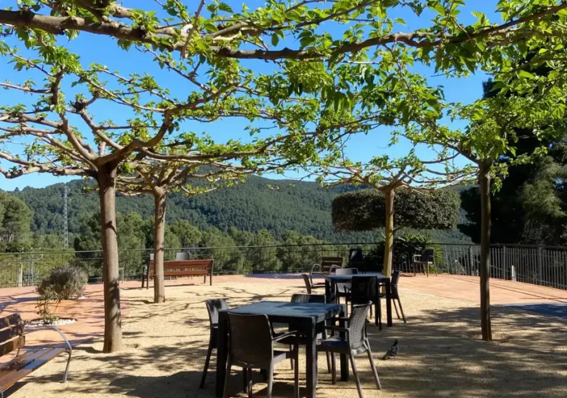 Zona de descanso bajo moreras con vistas a la montaña en la residencia de la tercera edad Sol i Natura